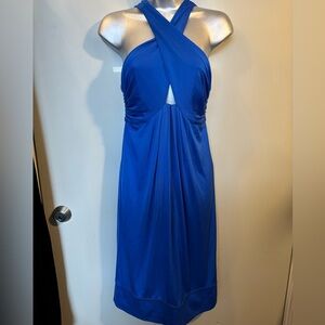 NWOT Diane Von Furstenberg Royal Blue Grecian Style Tonga Silk Dress